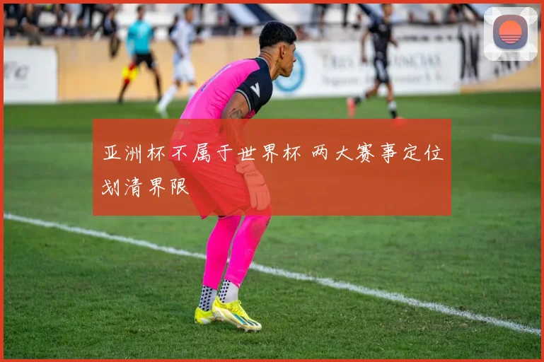 亚洲杯不属于世界杯 两大赛事定位划清界限