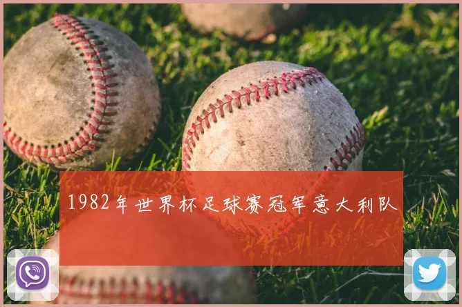 1982年世界杯足球赛冠军意大利队