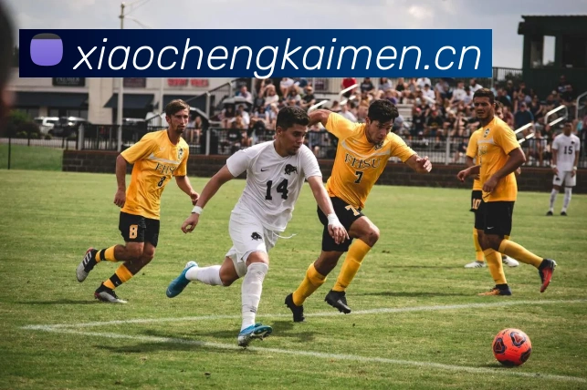 必一体育sport官网APP 体育赛事宣传图